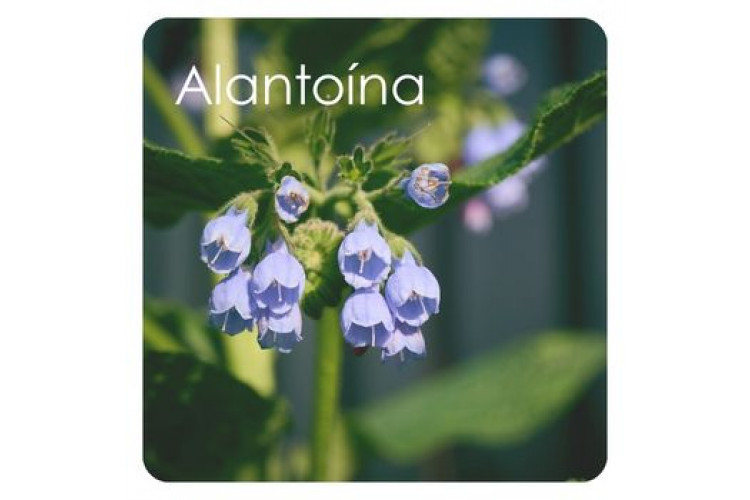 Alantoína: regeneração, suavidade e proteção para a pele