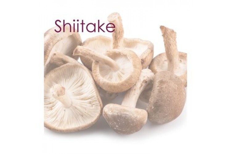 Shiitake: ação antioxidante, hidratação e revitalização para a pele Shiitake: ação antioxidante, hidratação e revitalização para a pele