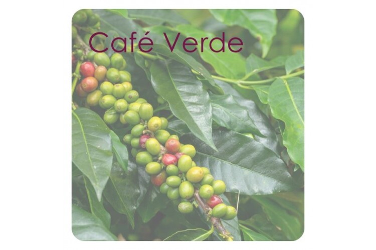 Café Verde: o ativo natural que potencializa resultados em protocolos corporais