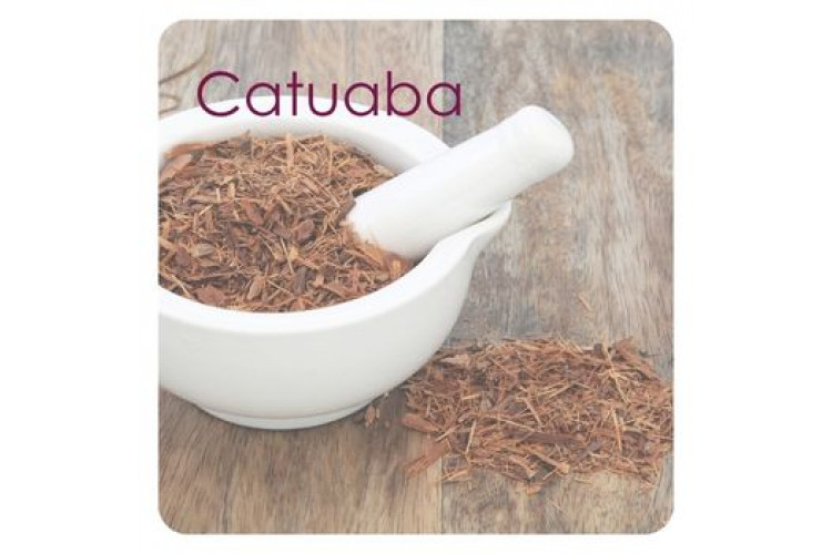 Catuaba: ação antioxidante e revitalização para a pele