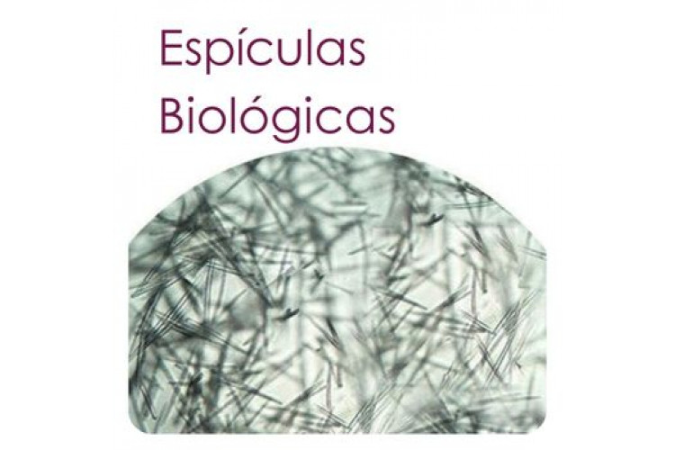 Espículas Biológicas (Spongilla): o microagulhamento biológico que transforma a pele