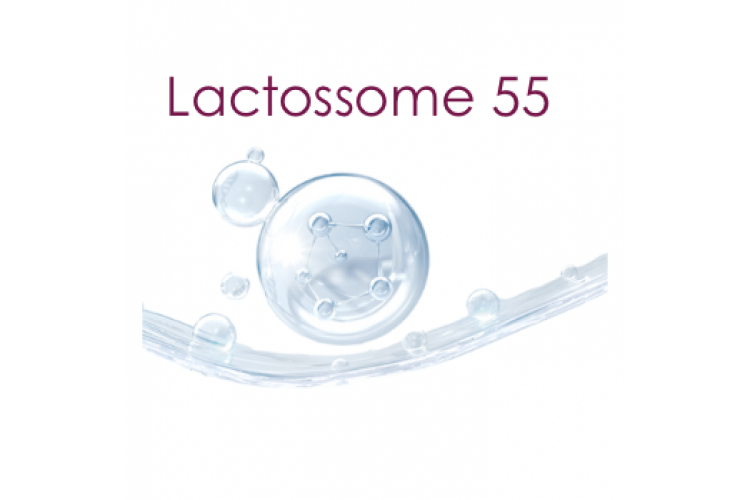 Exossoma Lactossome 55: regeneração avançada e comunicação celular para a pele