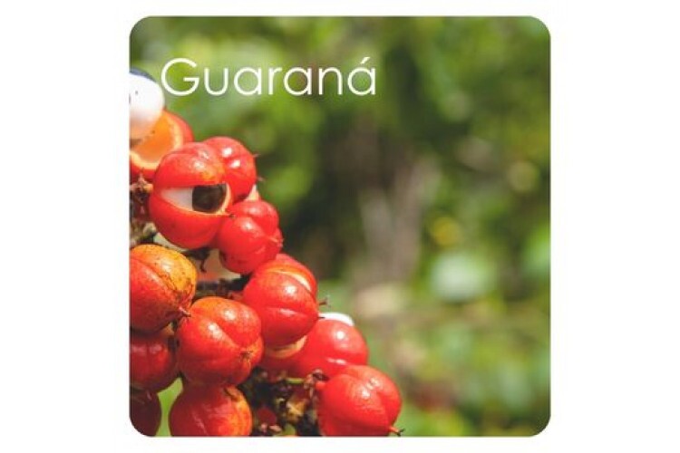 Guaraná na Estética: ativo estimulante para redução de medidas