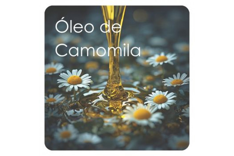 Óleo de Camomila: ação calmante e regeneradora