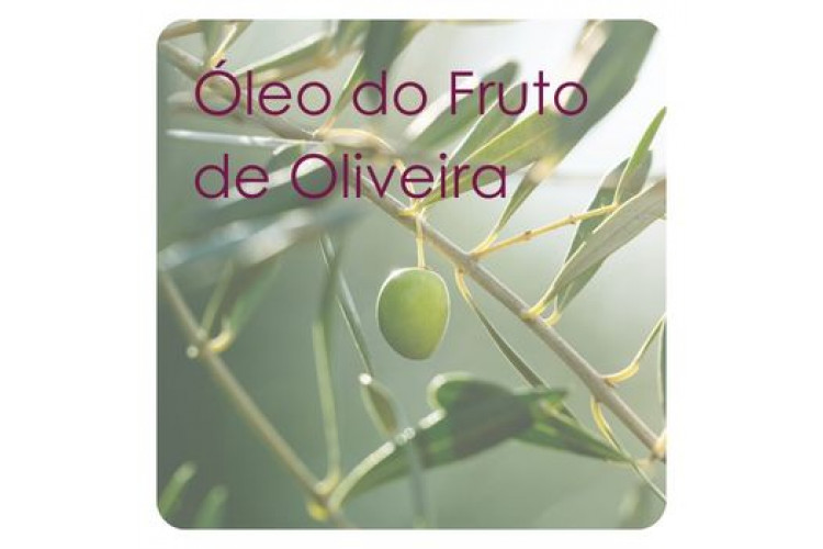 Óleo do Fruto da Oliveira: nutrição antioxidante e proteção para a pele Óleo do Fruto da Oliveira: nutrição antioxidante e proteção para a pele