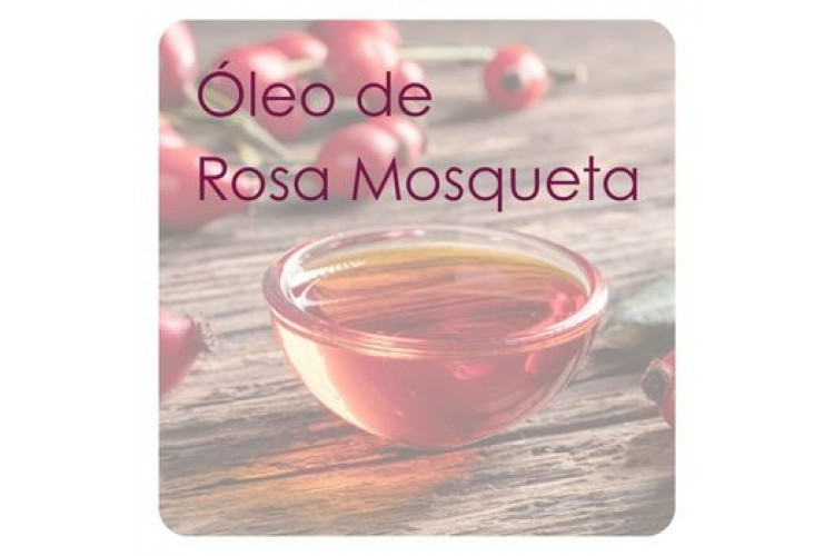 Óleo de Rosa Mosqueta: regeneração, nutrição e renovação